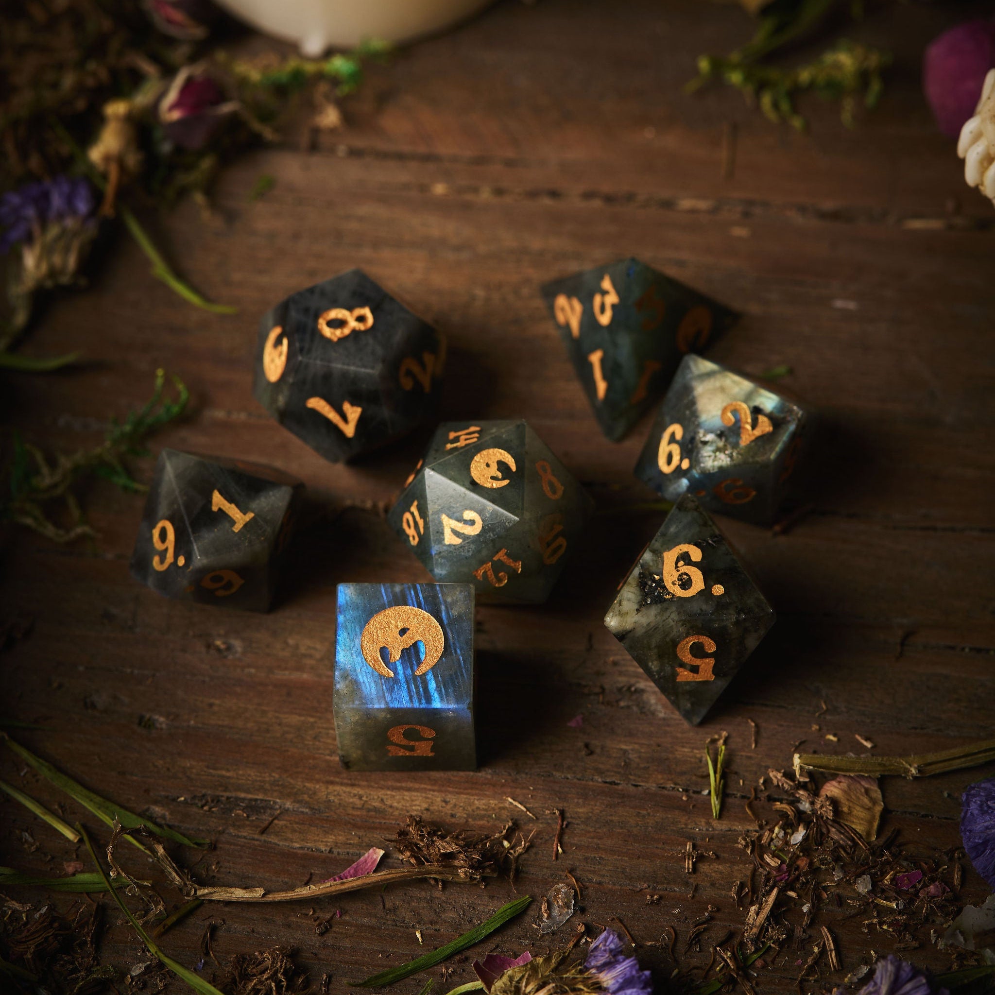 Crooked Moon Ultimate Bundle